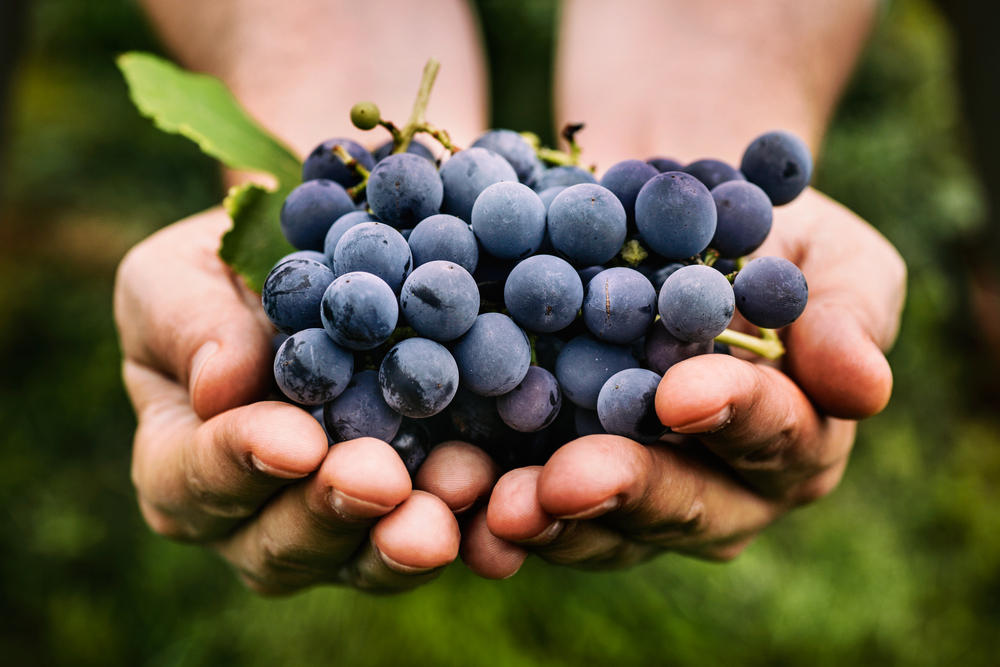Lista de alimentos saudáveis: uvas