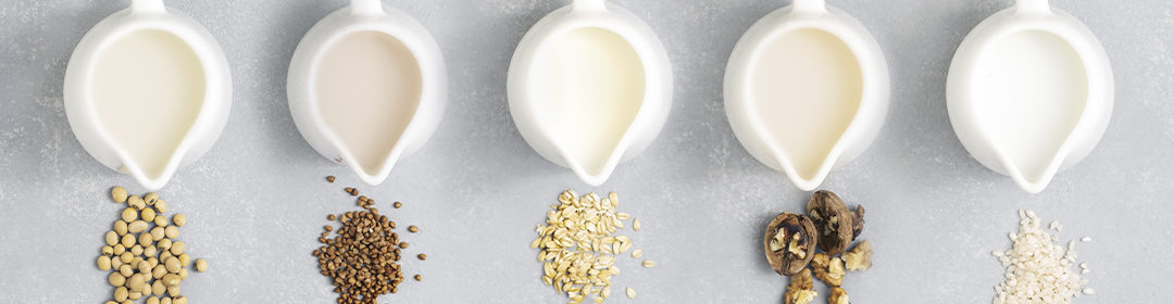 alimentação saudável sem lactose